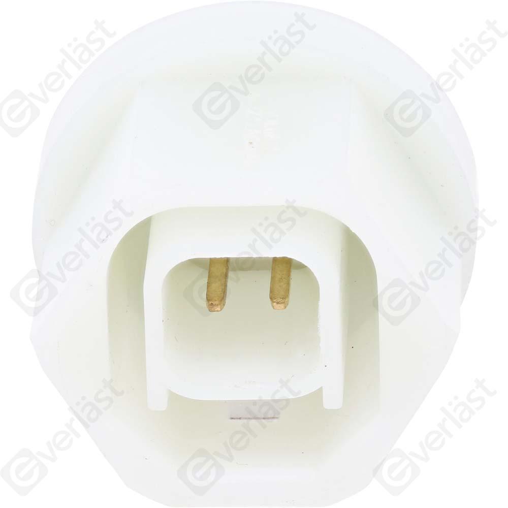 CAPTEURDE TEMPERATURE EVERLAST - 2