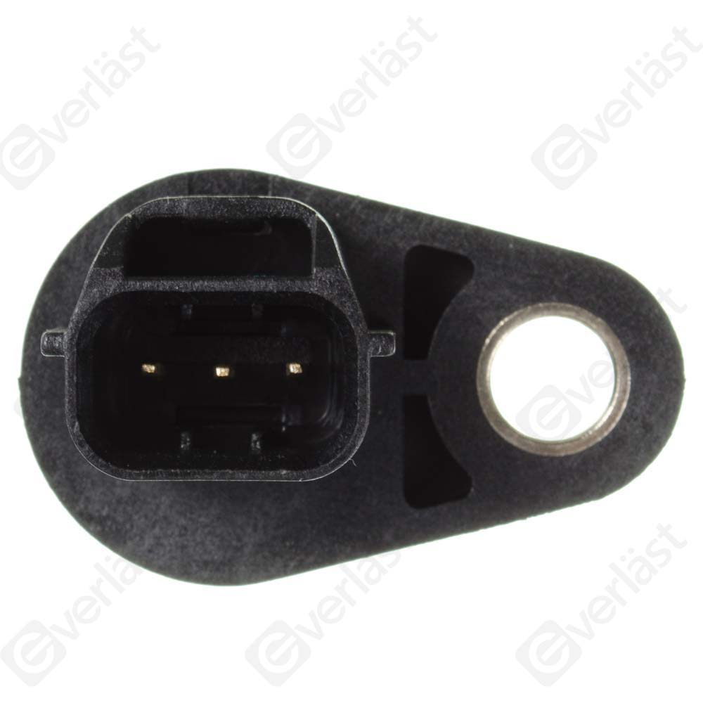 EVERLAST CRANK/CAM SENSOR - 2