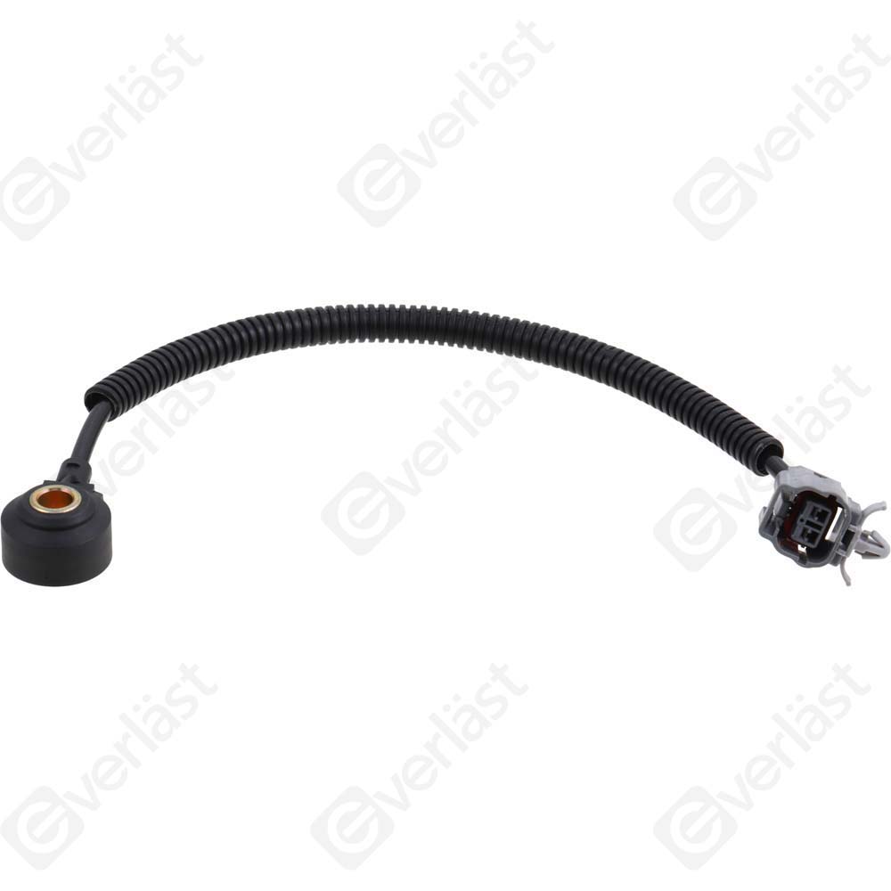 DETECTEUR CLIQUETIS EVERLAST - 3