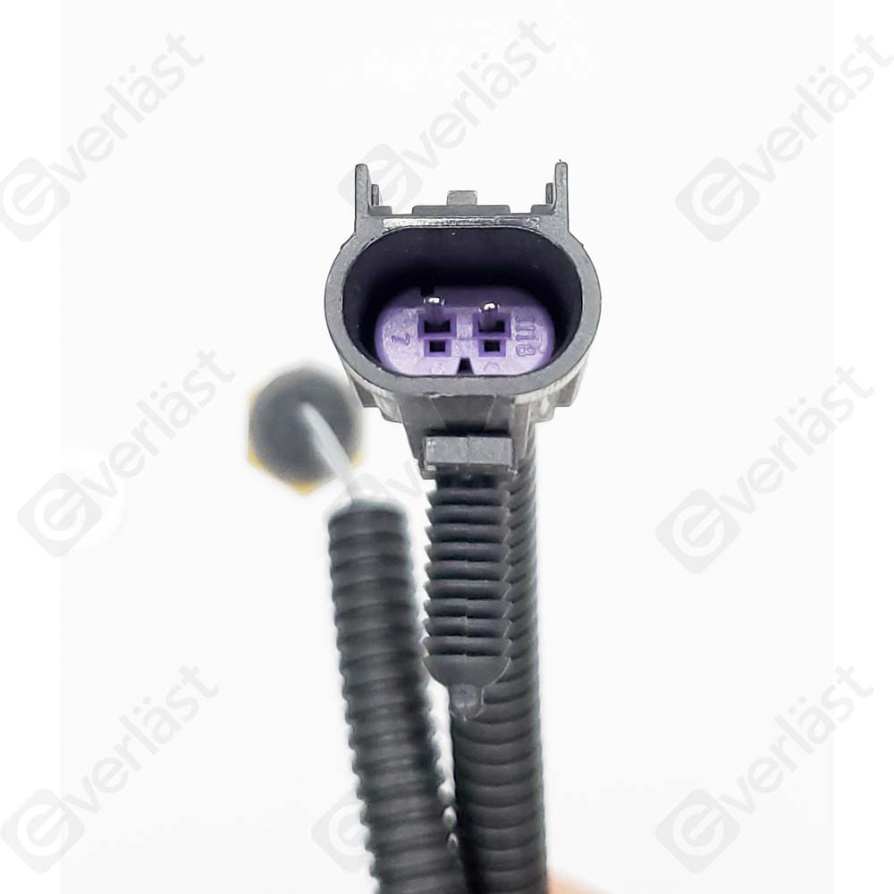 CAPTEURDE TEMPERATURE EVERLAST - 2