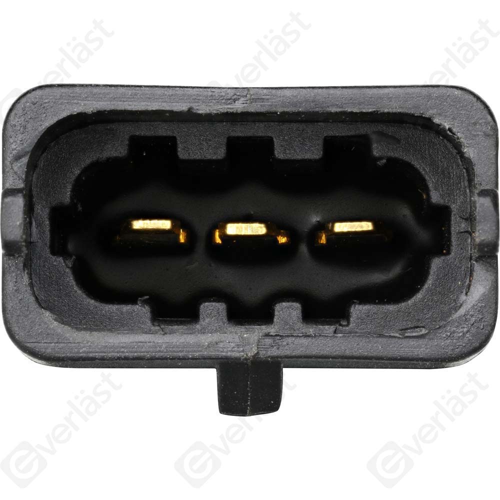 EVERLAST MANIFOLD SENSOR - 2