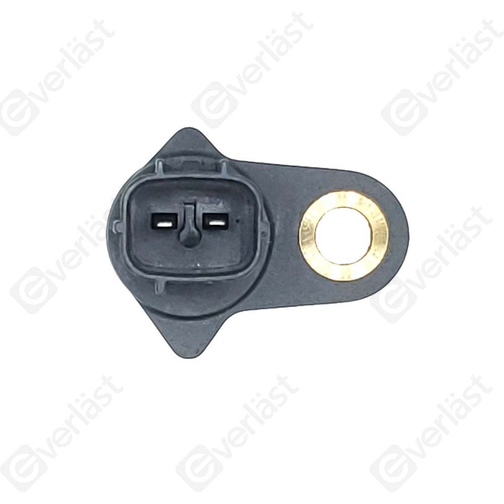 CAPTEUR DE VITESSE EVERLAST - 2