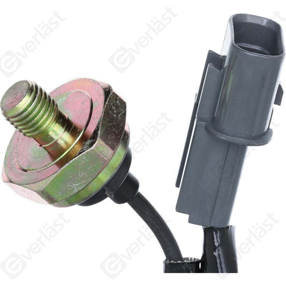 DETECTEUR CLIQUETIS EVERLAST - 2