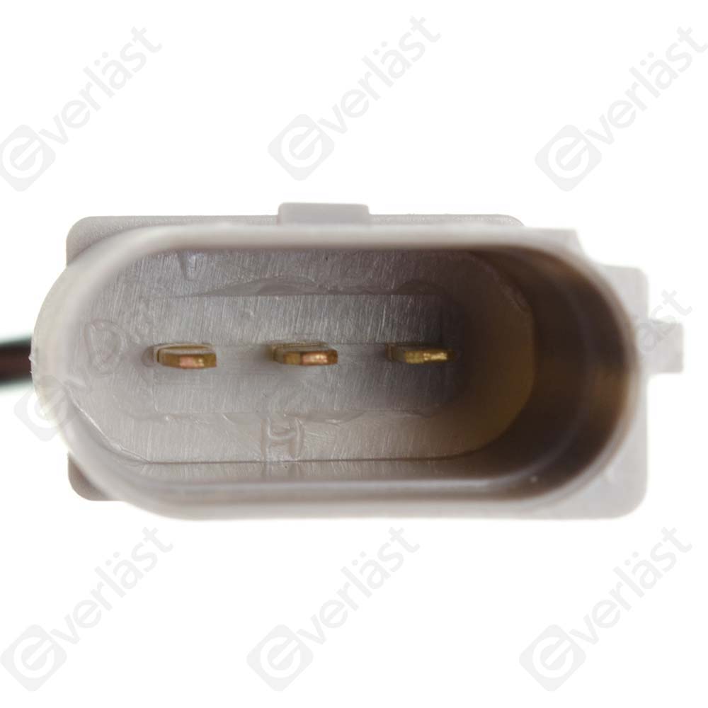EVERLAST CRANK/CAM SENSOR - 2
