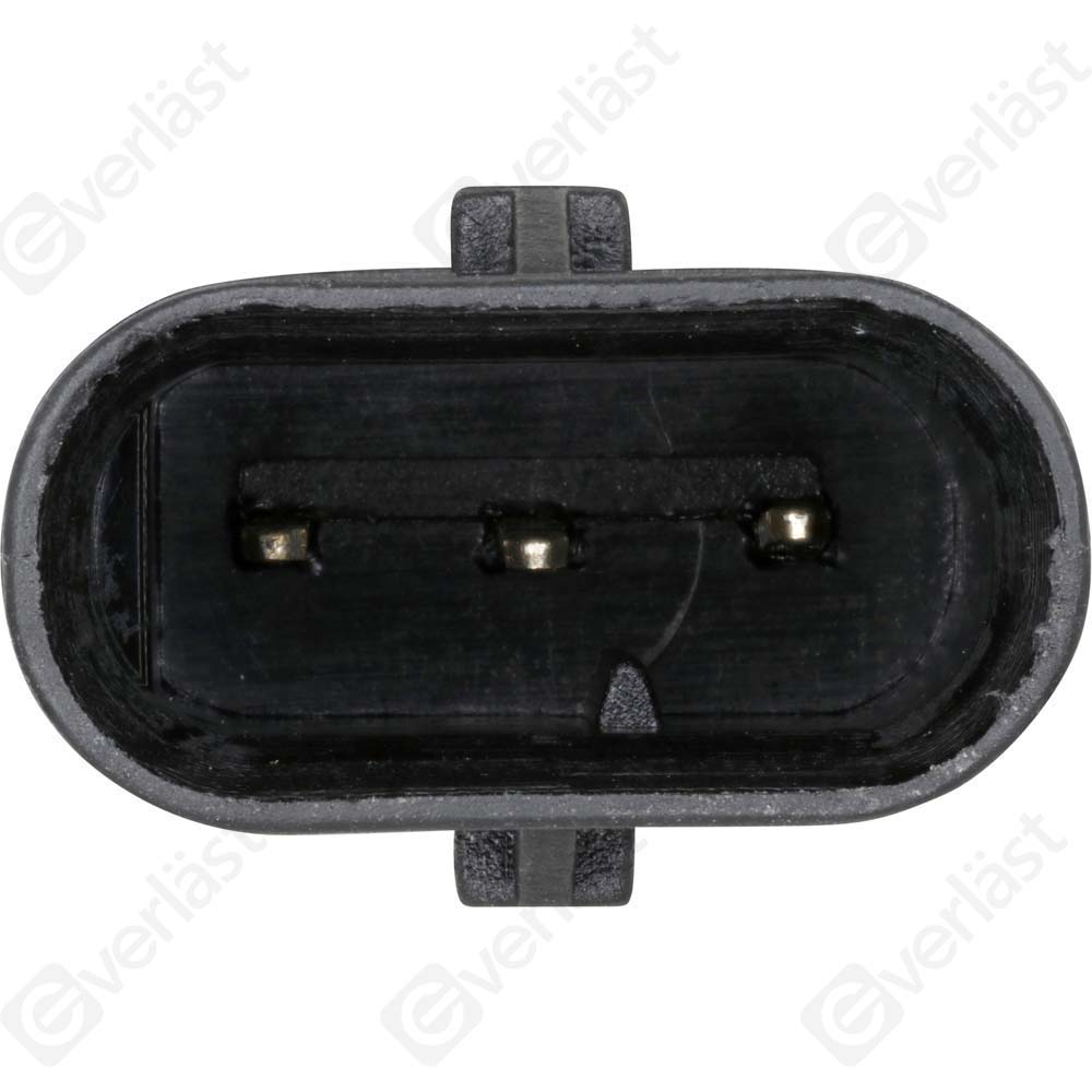 EVERLAST MANIFOLD SENSOR - 2