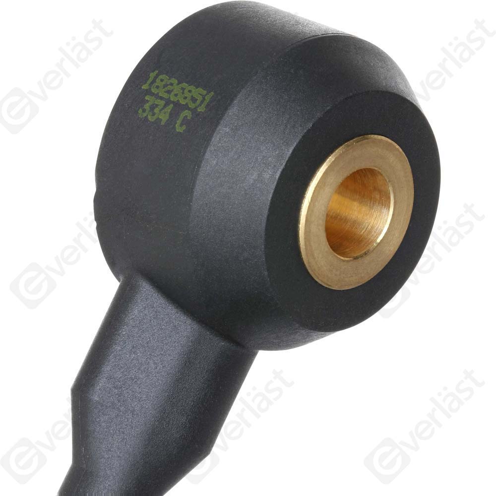 DETECTEUR CLIQUETIS EVERLAST - 4