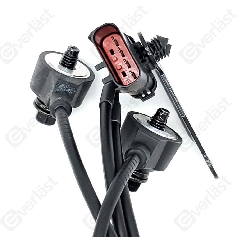 DETECTEUR CLIQUETIS EVERLAST - 2