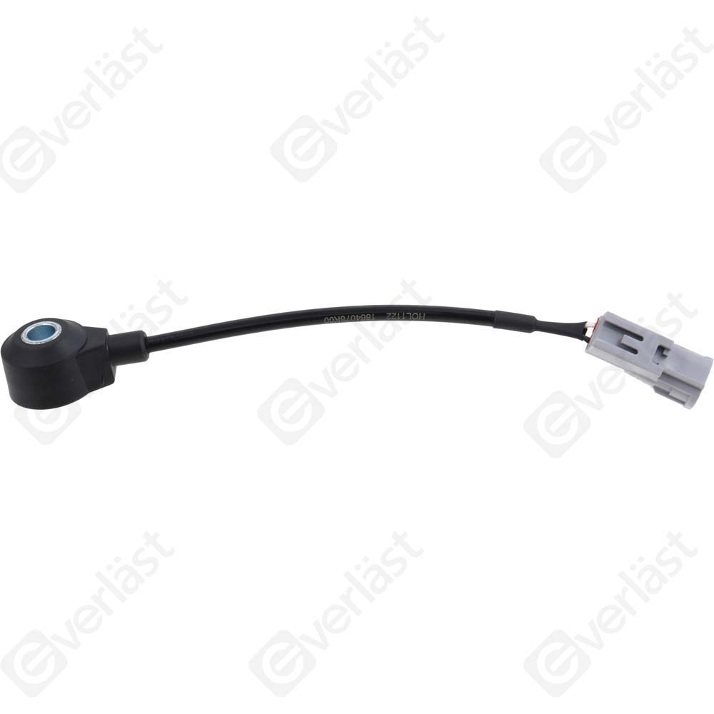 DETECTEUR CLIQUETIS EVERLAST - 2