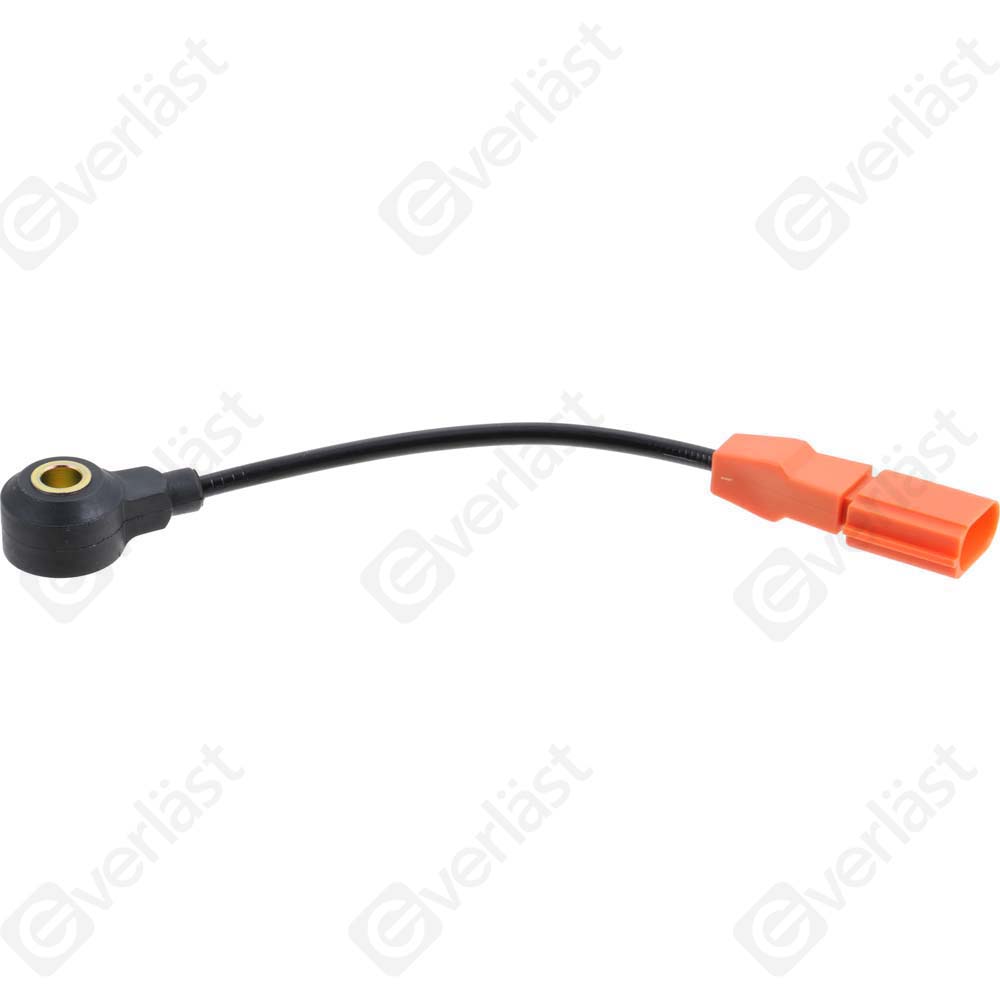 DETECTEUR CLIQUETIS EVERLAST - 3