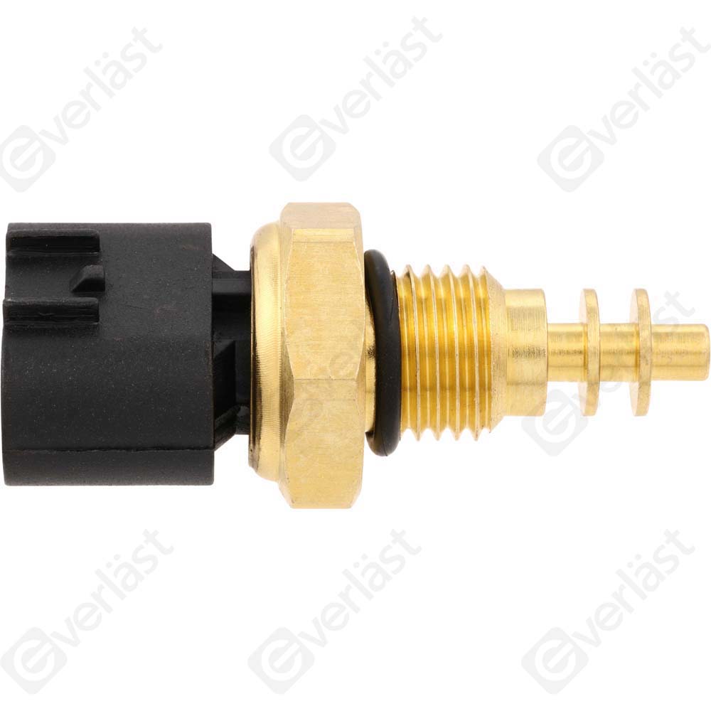 CAPTEURDE TEMPERATURE EVERLAST - 2