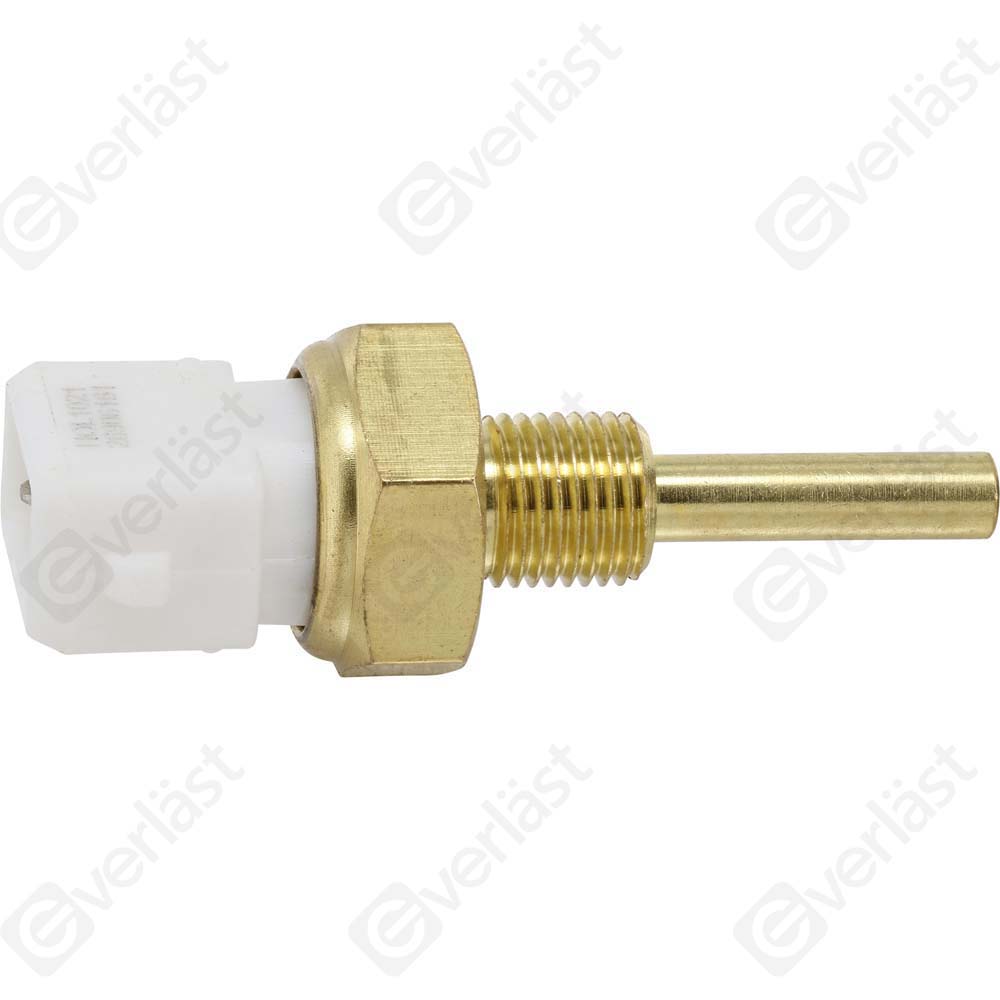 CAPTEURDE TEMPERATURE EVERLAST - 2