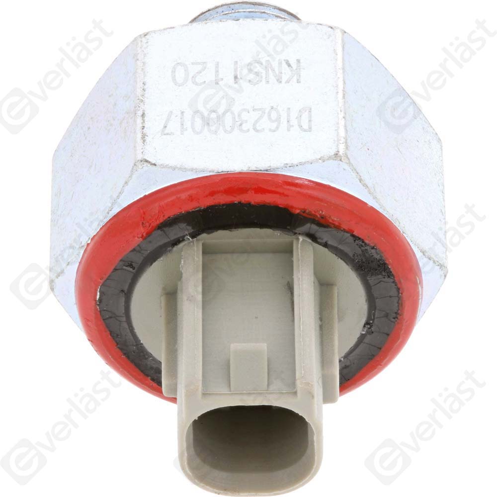 DETECTEUR CLIQUETIS EVERLAST - 2