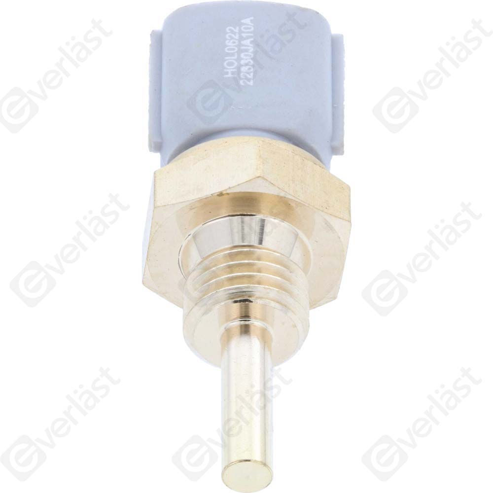 CAPTEURDE TEMPERATURE EVERLAST - 2