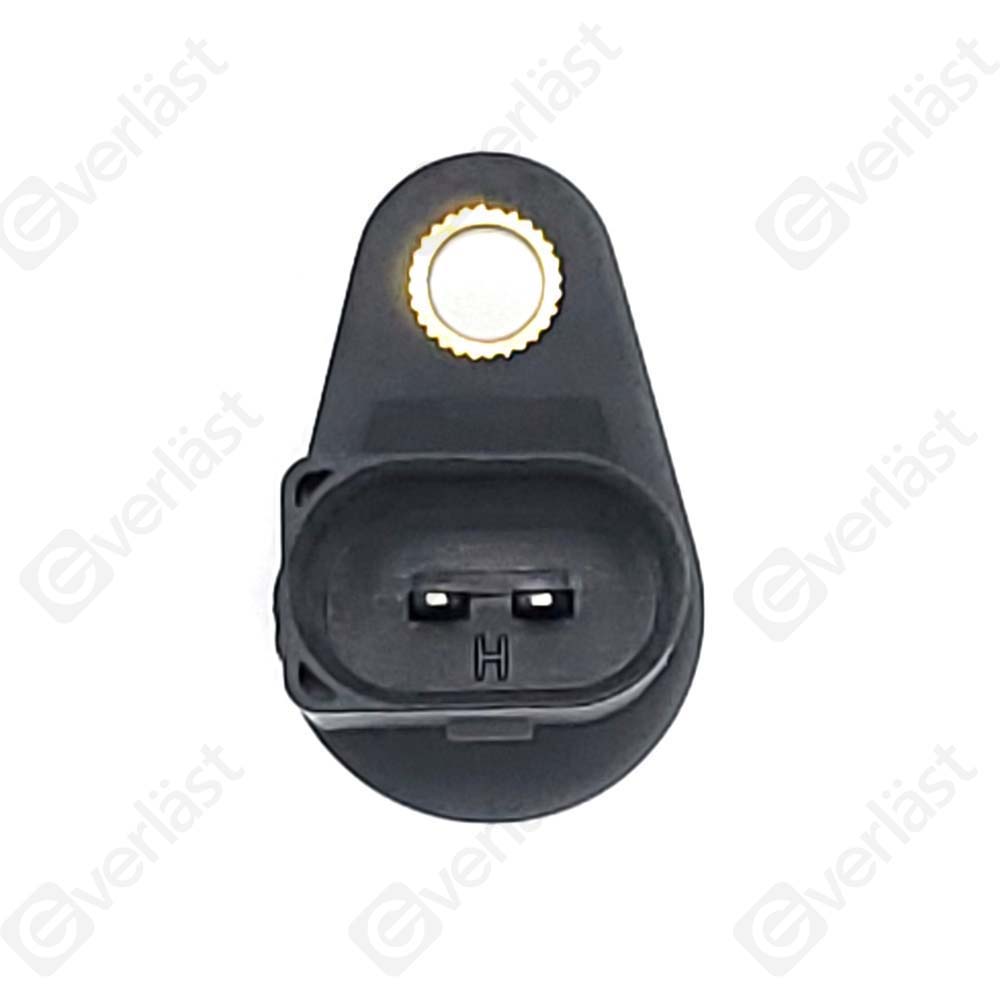 CAPTEUR DE VITESSE EVERLAST - 2