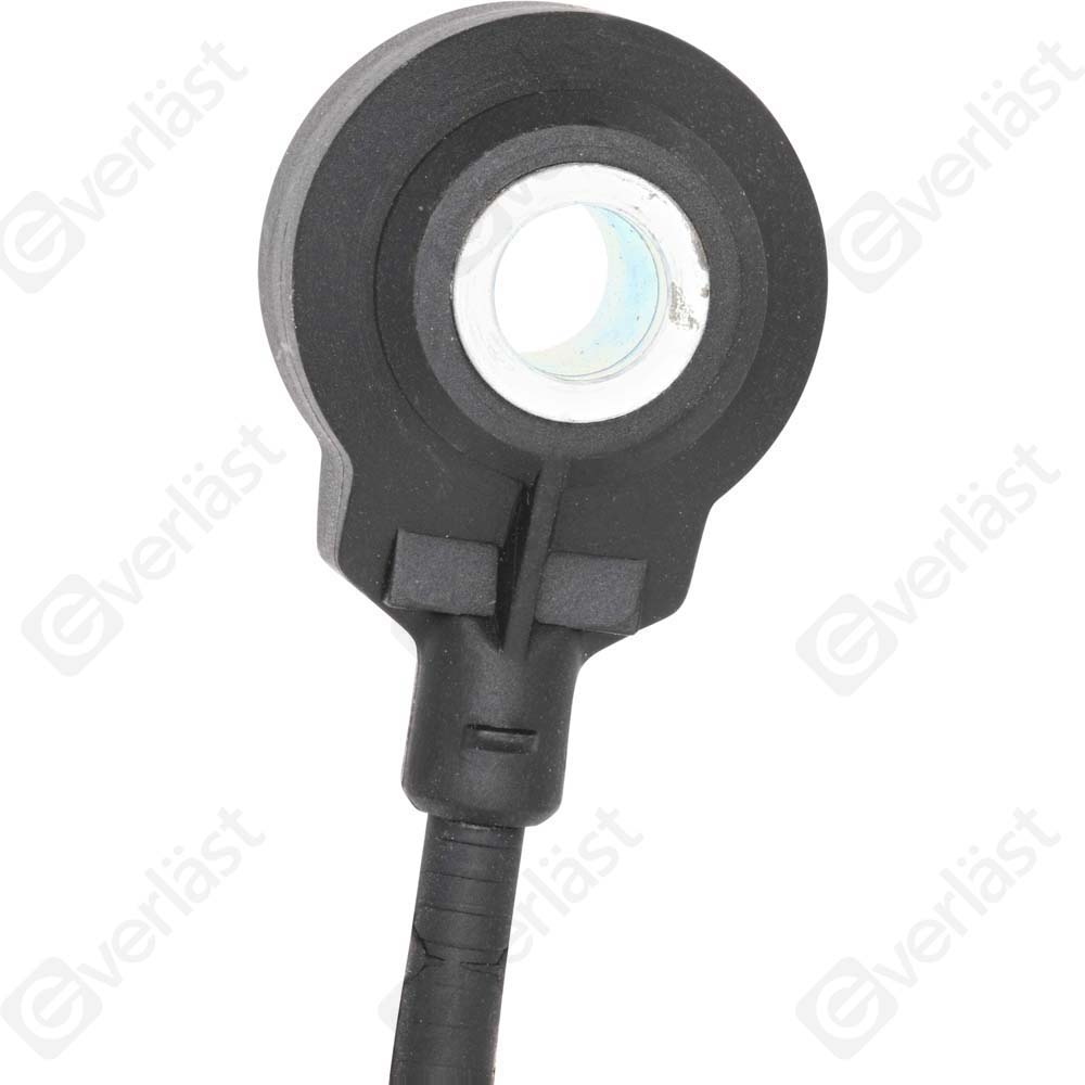 DETECTEUR CLIQUETIS EVERLAST - 2
