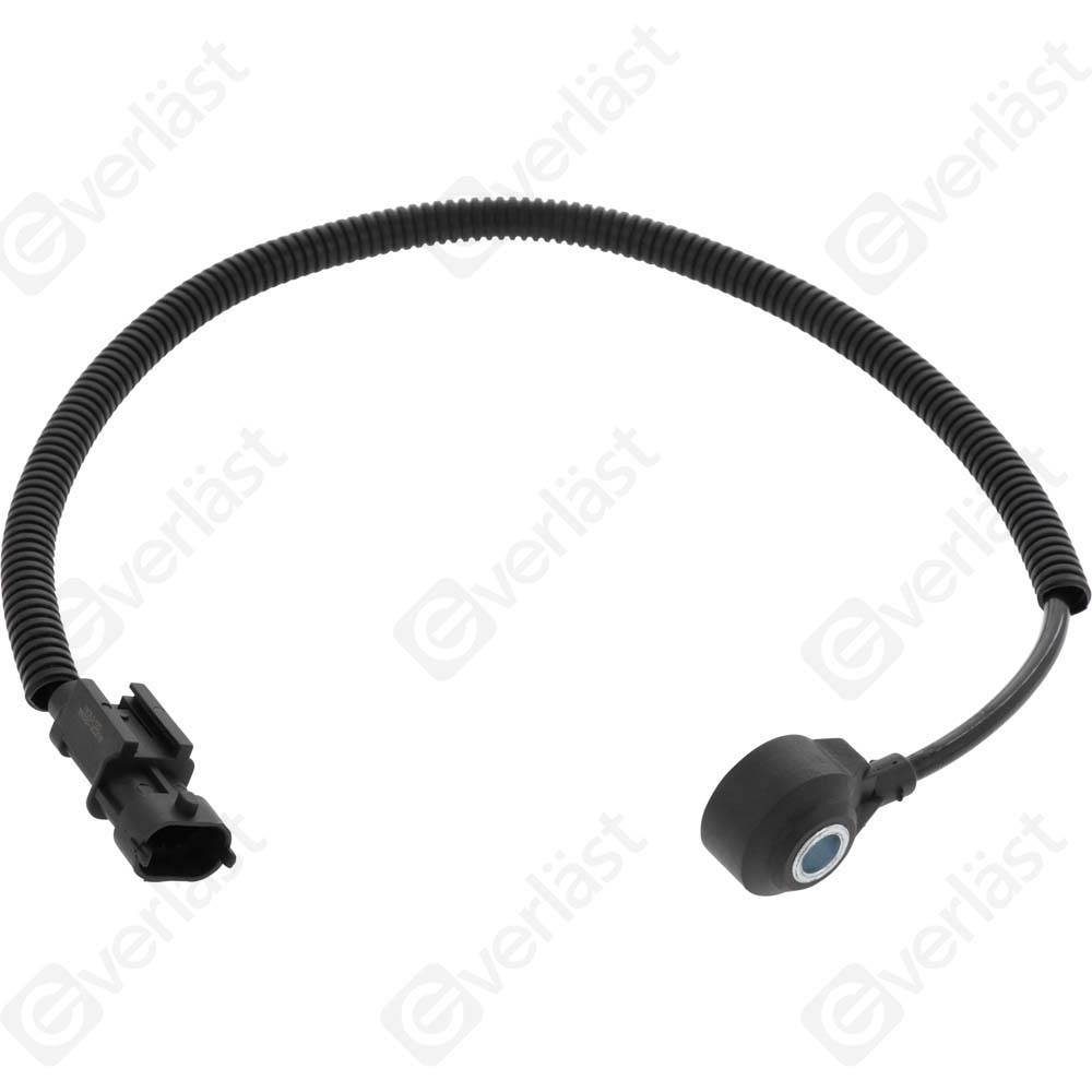 DETECTEUR CLIQUETIS EVERLAST - 2