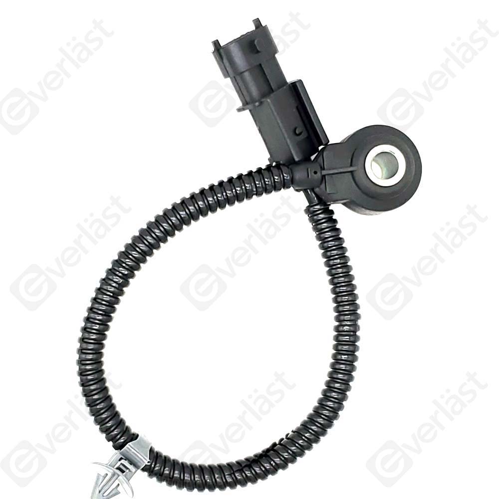 DETECTEUR CLIQUETIS EVERLAST - 2