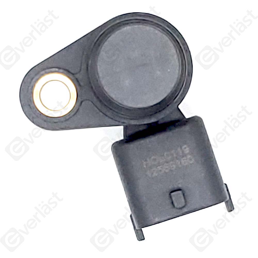 EVERLAST CRANK/CAM SENSOR - 2