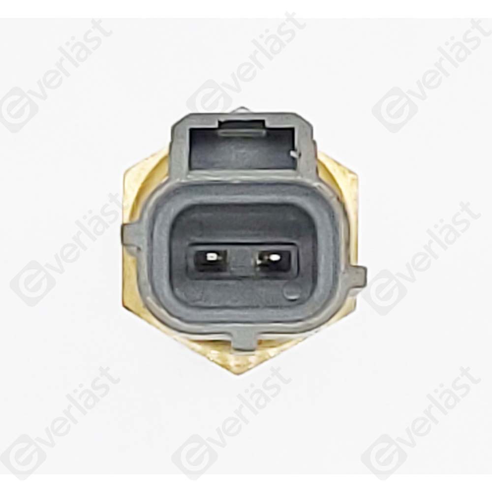 CAPTEURDE TEMPERATURE EVERLAST - 3