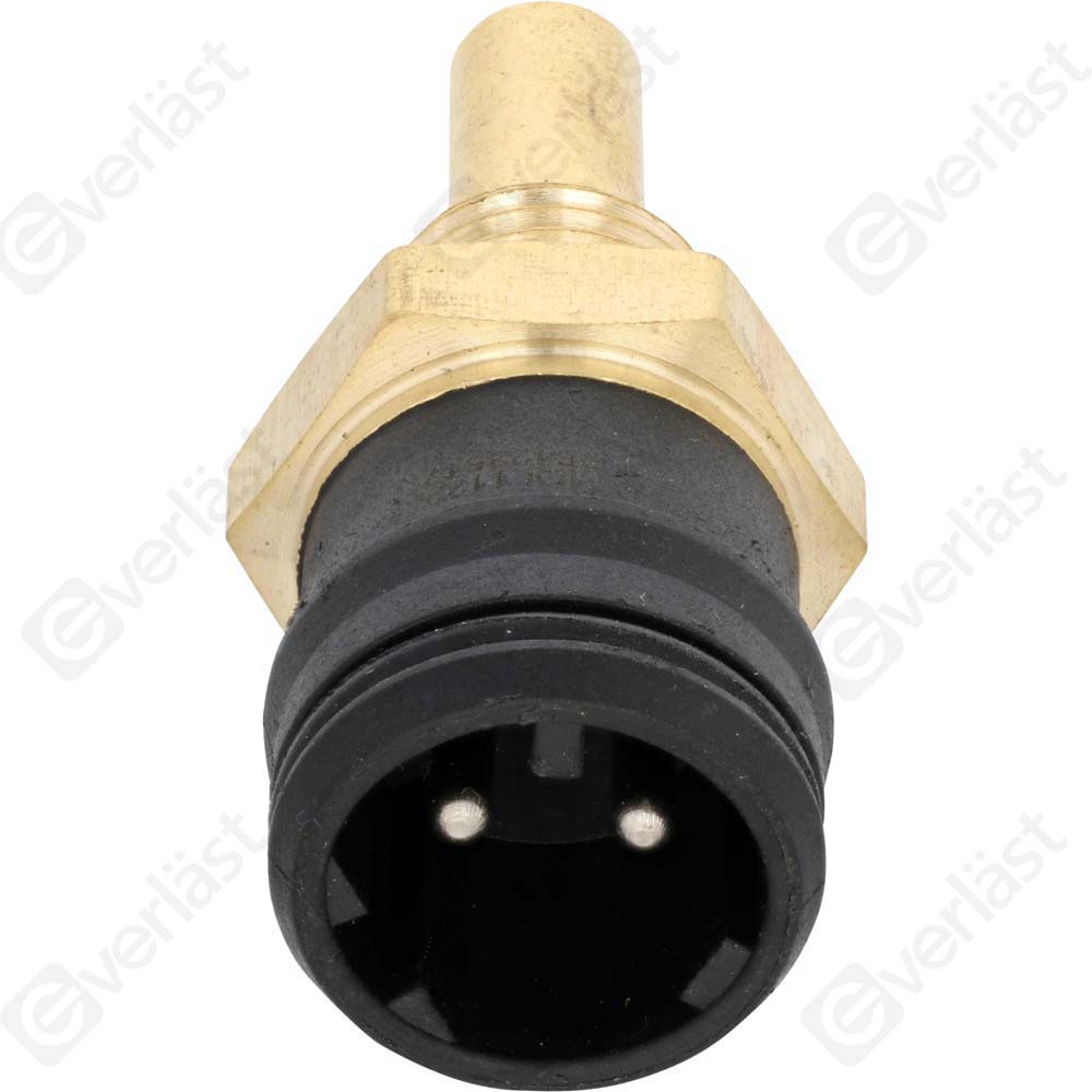 CAPTEURDE TEMPERATURE EVERLAST - 3