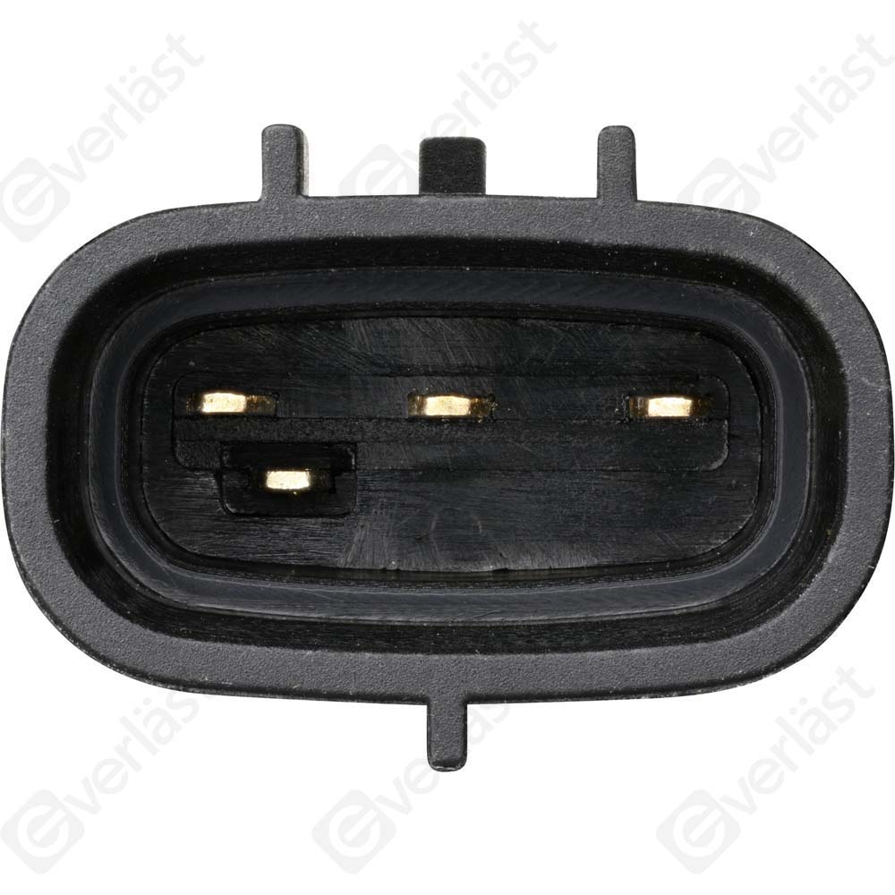 EVERLAST MANIFOLD SENSOR