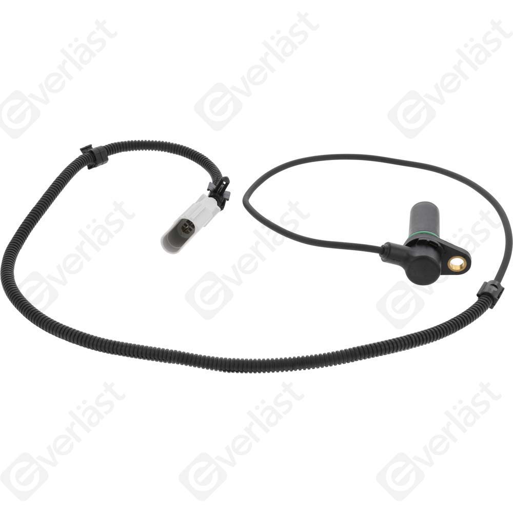 CAPTEUR ARBRE A CAME EVERLAST - 5