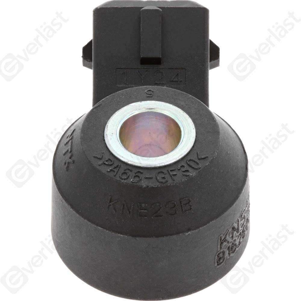 DETECTEUR CLIQUETIS EVERLAST