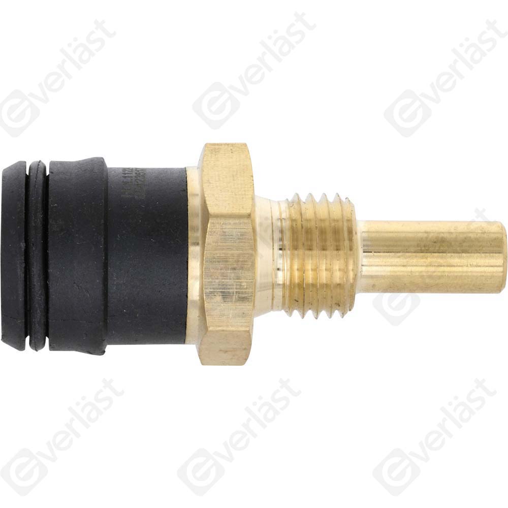 CAPTEURDE TEMPERATURE EVERLAST - 4