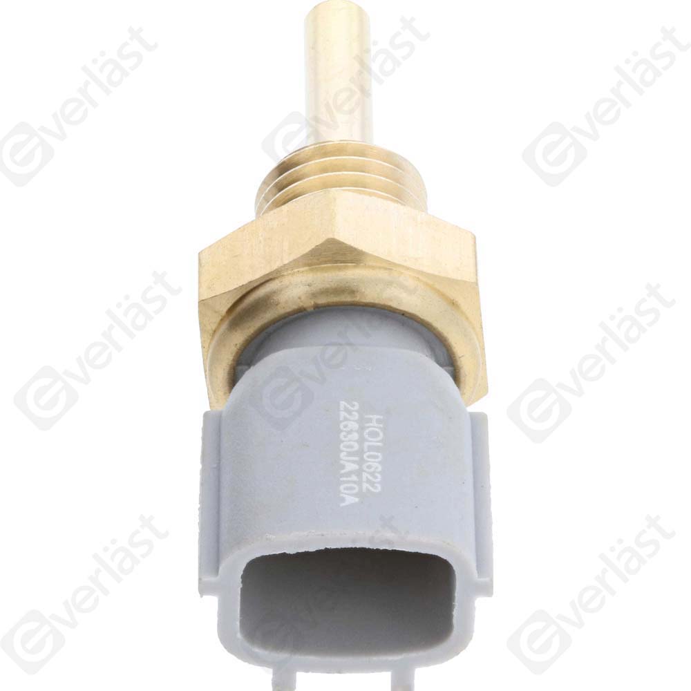 CAPTEURDE TEMPERATURE EVERLAST - 3