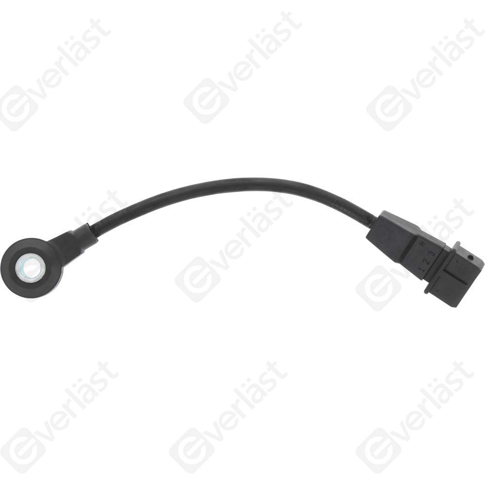 DETECTEUR CLIQUETIS EVERLAST - 5