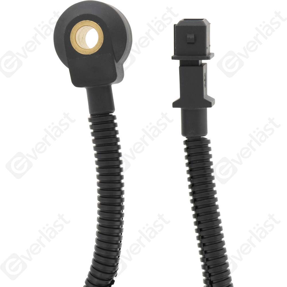 DETECTEUR CLIQUETIS EVERLAST - 2