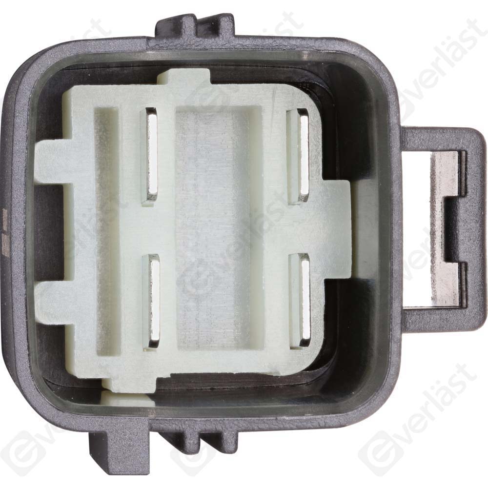 ALIMENTATION CLIM EVERLAST - 3