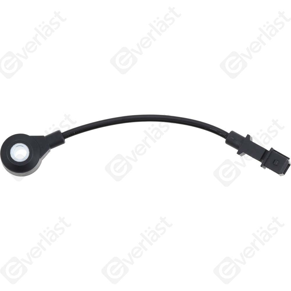 DETECTEUR CLIQUETIS EVERLAST - 3