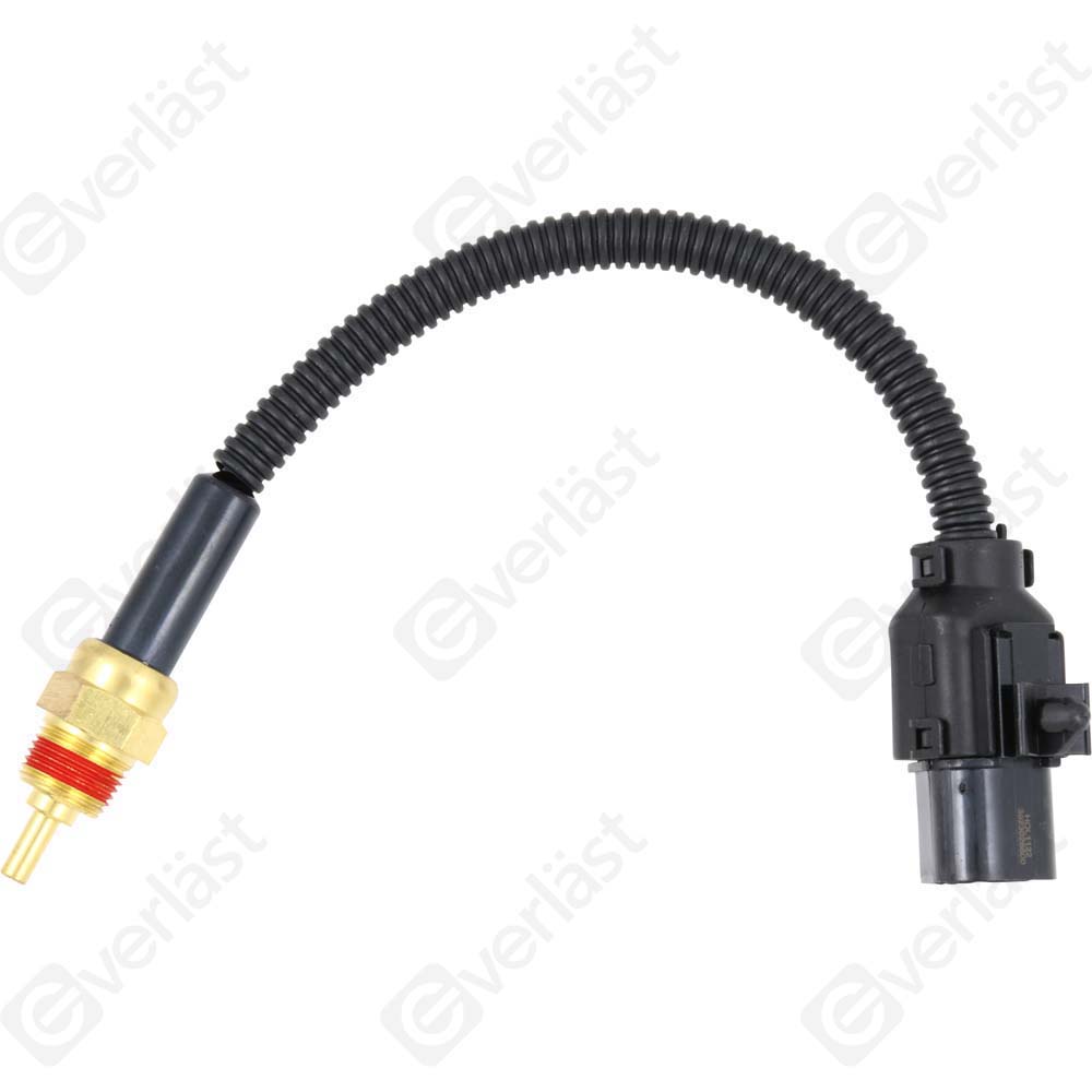 CAPTEURDE TEMPERATURE EVERLAST - 4