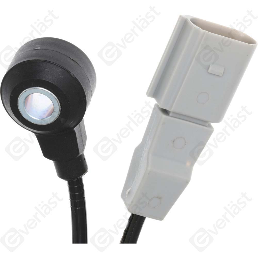 DETECTEUR CLIQUETIS EVERLAST - 2