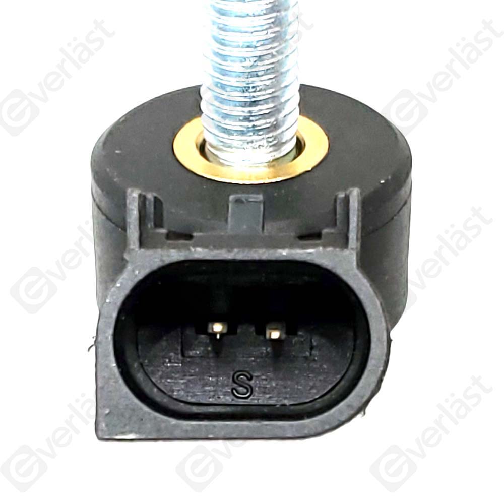 DETECTEUR CLIQUETIS EVERLAST - 2