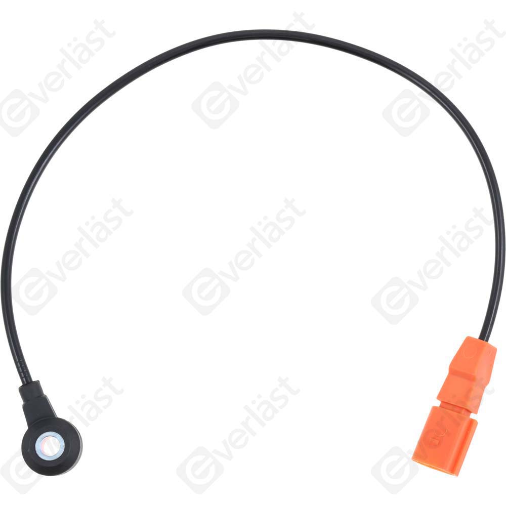 DETECTEUR CLIQUETIS EVERLAST - 2