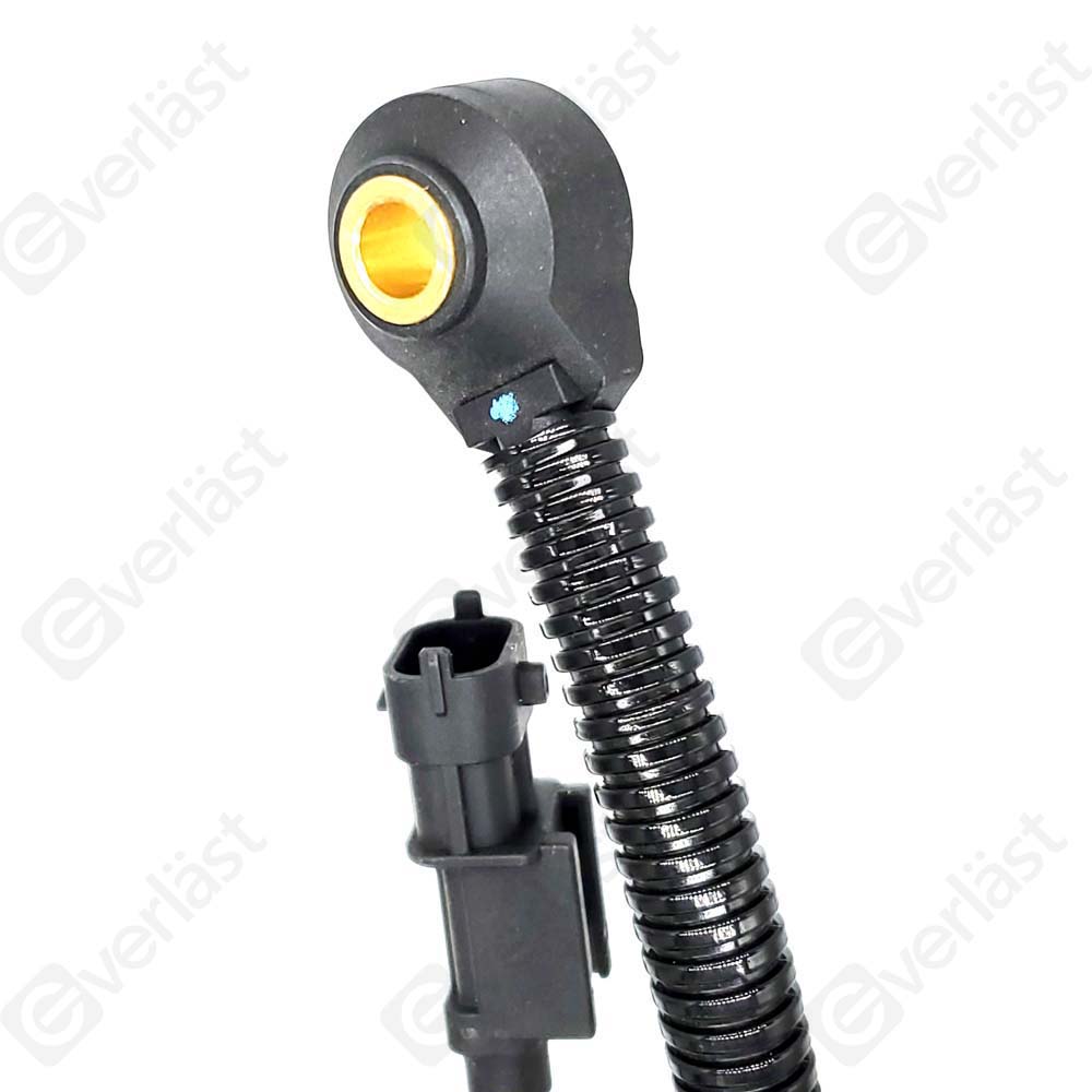 DETECTEUR CLIQUETIS EVERLAST - 2