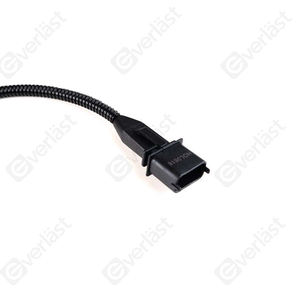 EVERLAST CRANK/CAM SENSOR - 4