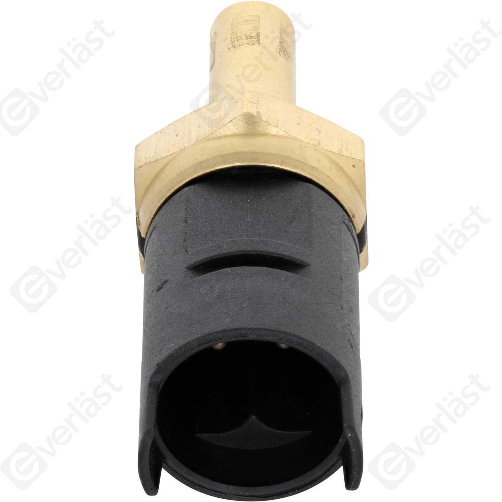 CAPTEURDE TEMPERATURE EVERLAST - 3