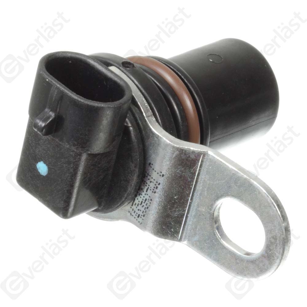CAPTEUR DE VITESSE EVERLAST - 2