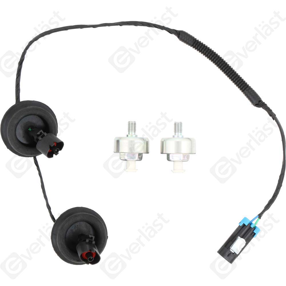 DETECTEUR CLIQUETIS EVERLAST - 2