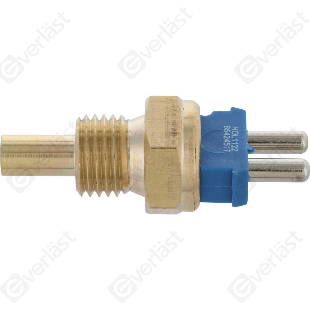 CAPTEURDE TEMPERATURE EVERLAST - 2