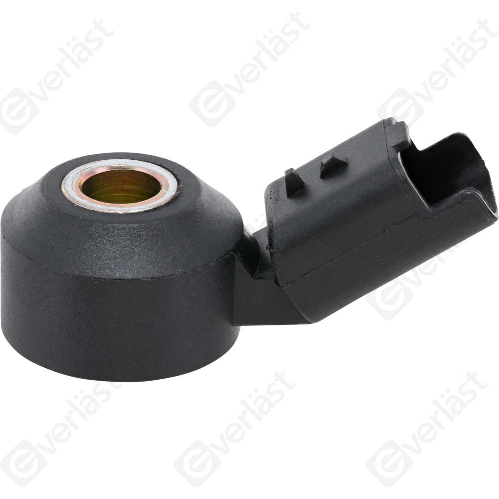DETECTEUR CLIQUETIS EVERLAST - 2