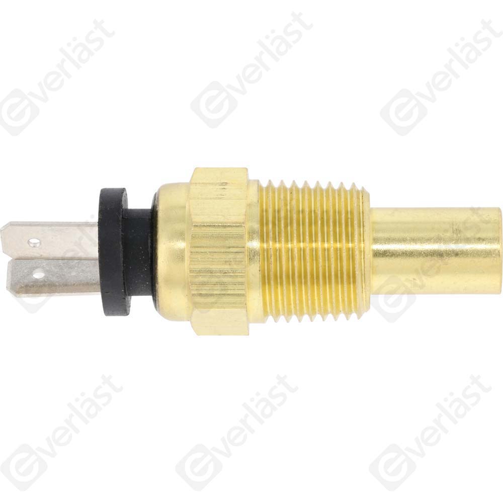 CAPTEURDE TEMPERATURE EVERLAST - 4