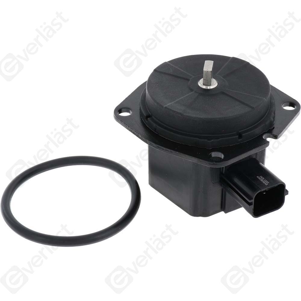 SOLENOIDE SYNCHRO EVERLAST - 2