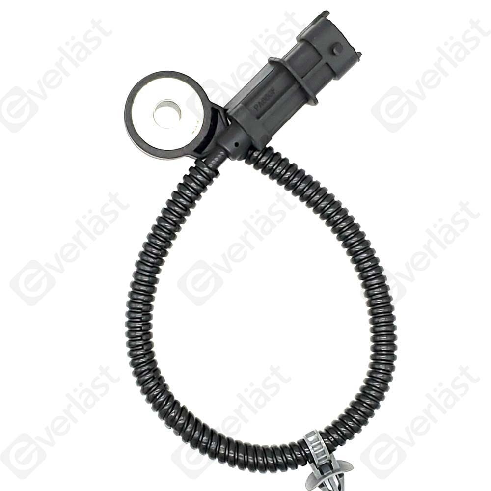 DETECTEUR CLIQUETIS EVERLAST - 3