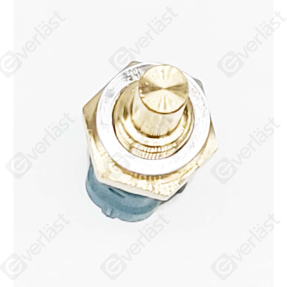 CAPTEURDE TEMPERATURE EVERLAST - 2