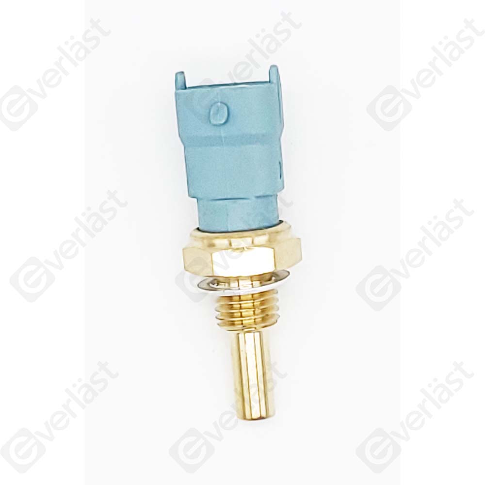 CAPTEURDE TEMPERATURE EVERLAST - 3