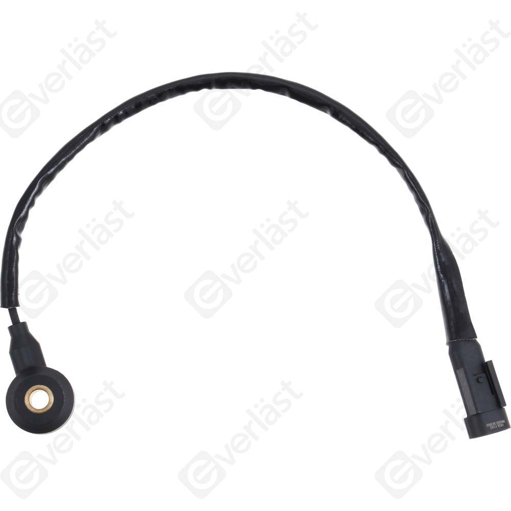 DETECTEUR CLIQUETIS EVERLAST - 2